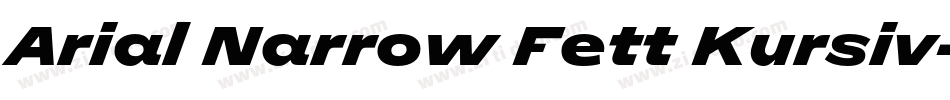 Arial Narrow Fett Kursiv字体转换